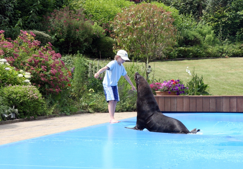 ALFRESCO POOL COVERS